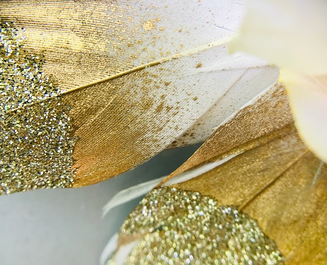 Background photograph using a macro lens to take close up pictures of a crafters glitter feather.