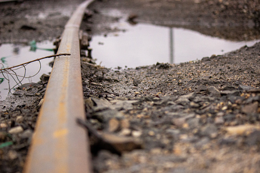 Rusting tram track in a puddle