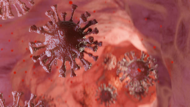istock Virus inside the body Coronavirus COVID-19 Concept background 1250576613