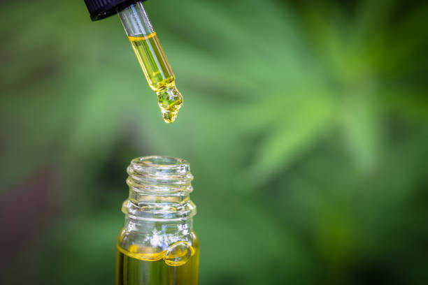 droplet dosing a biological and ecological hemp plant herbal pharmaceutical, cbd cannabis oil. droplet dosing a biological and ecological hemp plant herbal pharmaceutical, cbd cannabis oil. cbd oil photos stock pictures, royalty-free photos & images