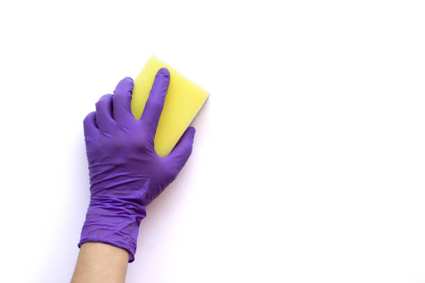Hand with clove Closeup hand with glove holding yellow sponge for cleaning isolated on white background with clipping path. cleaning sponge photos stock pictures, royalty-free photos & images