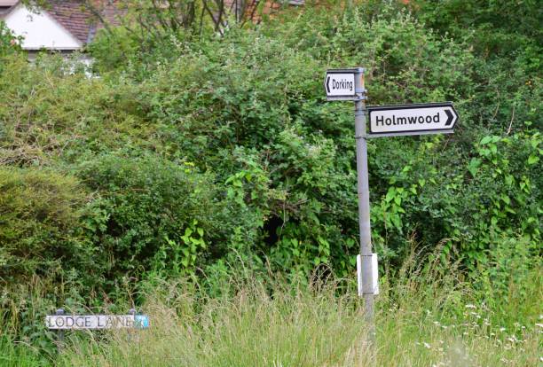 istock Road direction signs in Surrey England. 1250581359