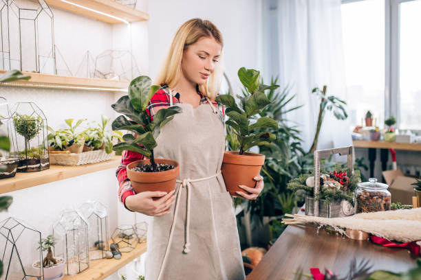 istock good-looking lady with plants in pot 1250581433