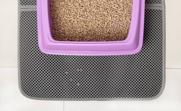 un plateau de chat pour une toilette avec le remplissage écologique de bois sur un tapis imperméable. toilettes carrelées. personne. l’accouplement absorbant les déchets après les chats. - litter box box clean shovel photos et images de collection