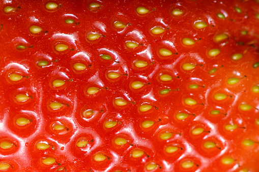 Abstract wallpaper extreme macro background: Strawberry