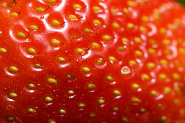 Abstract wallpaper extreme macro background: Strawberry