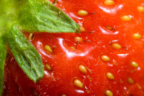 Abstract wallpaper extreme macro background: Strawberry