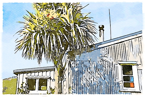 This is my Photographic Image of a Kiwi Bach Style House with a native New Zealand Ti Kouka (Cabbage Tree) in a Watercolour Effect. Because sometimes you might want a more illustrative image for an organic look.