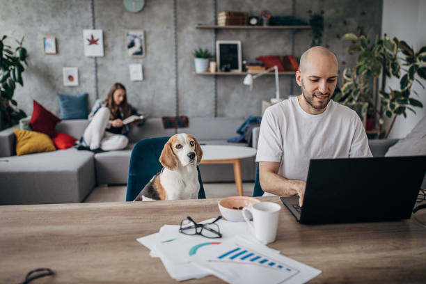istock Man working on laptop, pet dog is next to him 1250595112