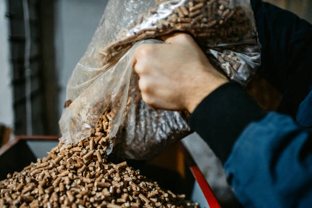 istock Man pouring pellets in pellets boiler 1250597396