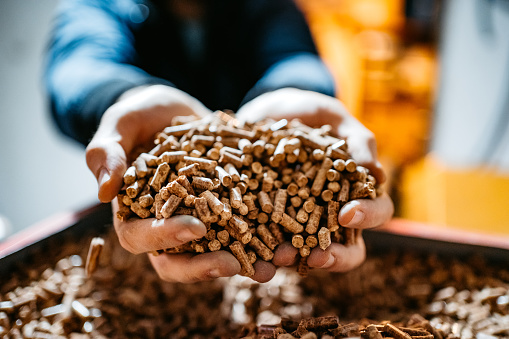 A man holds wood pellets in his hands. Biofuels. Renewable energy source. Pressed sawdust for industrial use. Alternative bio fuel. Wood filler used in cat litter.