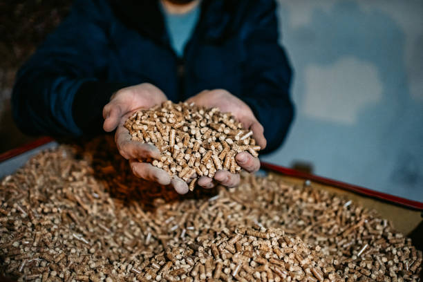 istock Wood pellets in hands 1250598213