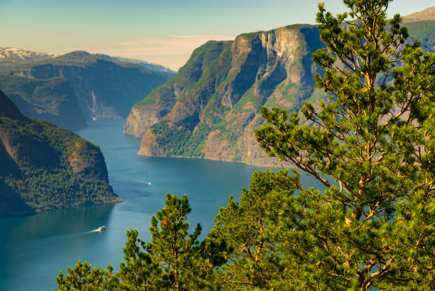 fjord landscape aurlandsfjord in norway - aurlandfjord imagens e fotografias de stock