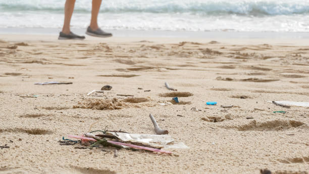 istock Environmental pollution. Ecological problem. Garbages, plastic, and wastes on the sandy beach of tropical sea. 1250599834