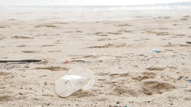 istock Environmental pollution. Ecological problem. Garbages, plastic, and wastes on the sandy beach of tropical sea. 1250599914