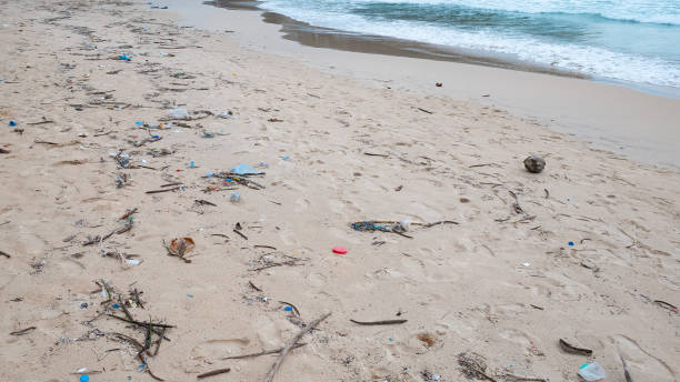 istock Environmental pollution. Ecological problem. Garbages, plastic, and wastes on the sandy beach of tropical sea. 1250599974