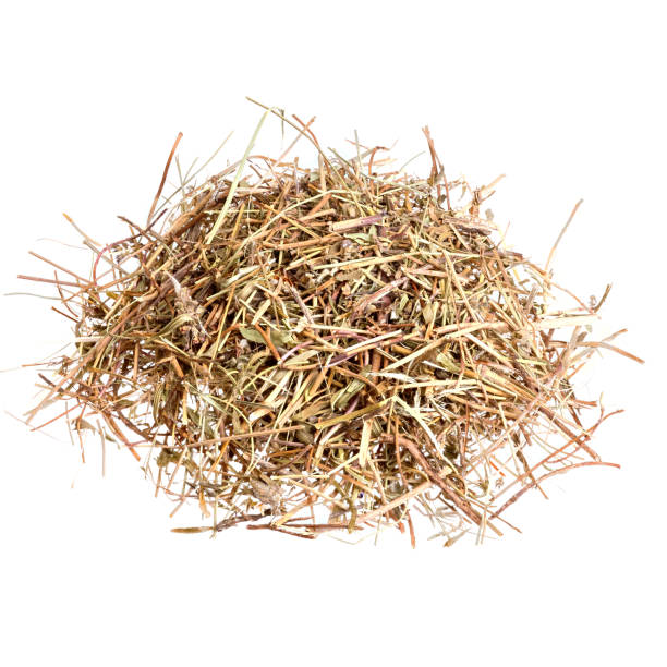 istock Herb thyme to use as food. 1250601238
