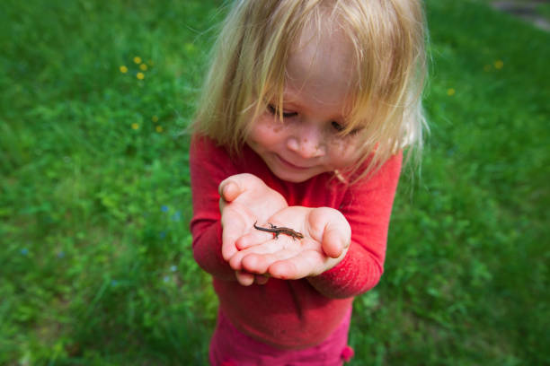 little girl holding and exploring lizard in nature, kids learn animals