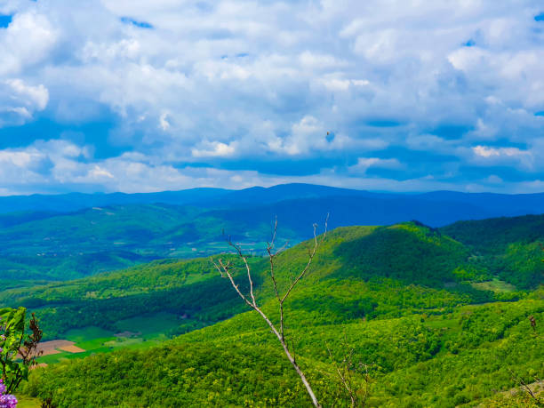 Colorful nature landscape