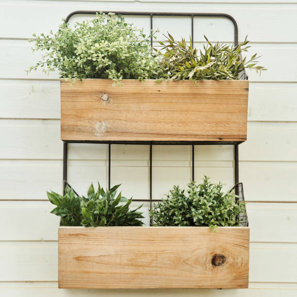 istock Decorative wooden boxes with flowers on a white wall close-up 1250603737