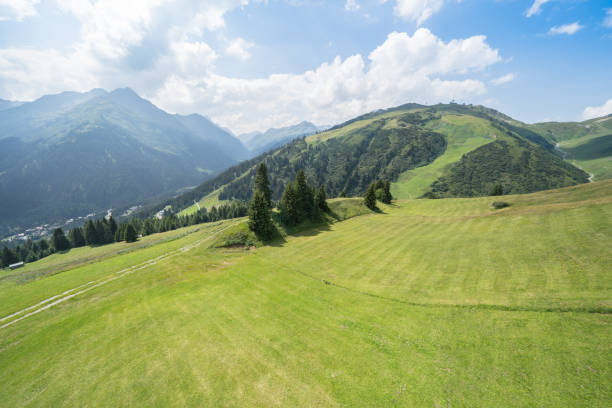 istock Idyllic summer landscape in the Alps 1250609112