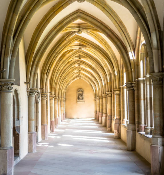 arcade de la catedral del claustro gótico alemán - trierer dom fotografías e imágenes de stock