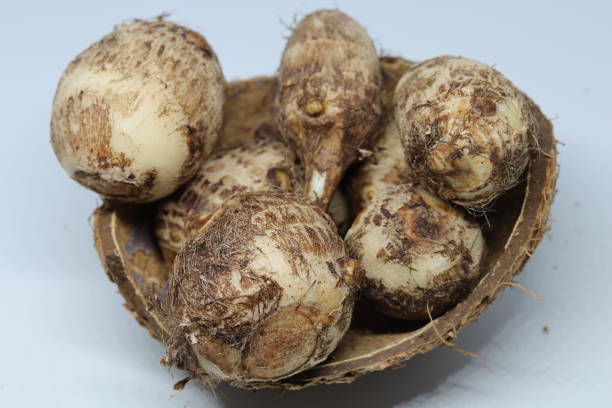 istock Taro or Colocasia esculenta on isolated white background 1250613149