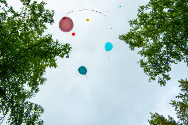 Multi colored balloons on a background of the sky.