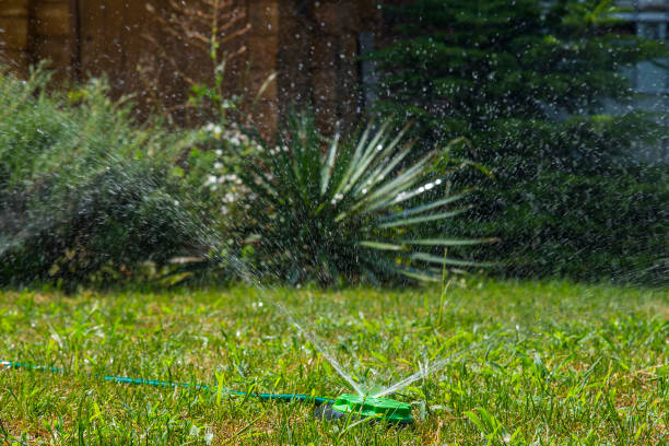 istock Home garden water sprayer 1250621053