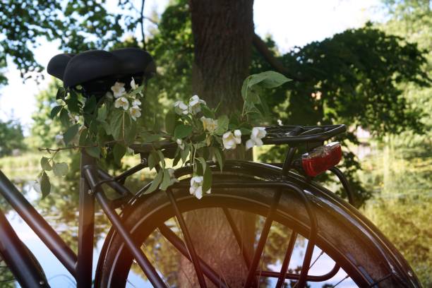 istock Bike tour in summer 1250621236