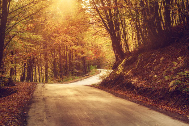 istock Beautiful autumn landscape 1250623272