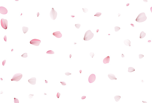 Seamless sakura petals. Falling realistic cherry petals. Spring and summer sakura seamless pattern