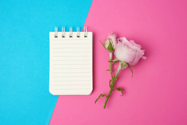istock open notebook with white sheets and pink rose on a blue pink background 1250628169