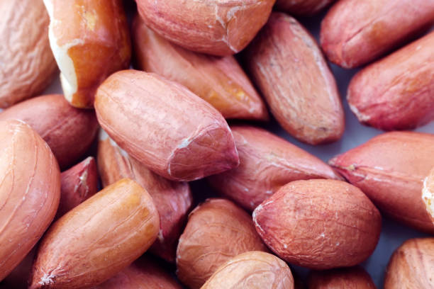 istock Raw peanuts for background and texture. peeled peanuts close up macro shot 1250628360