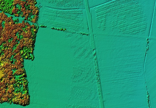 Hipsometric model created by 3d rendering of photos taken from a drone. It shows forest area with a lot of trees.
