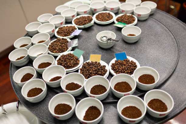 Samples of Freshly Roasted Coffee Bean wait to be Tested in the Tasting Room Samples of Freshly Roasted Coffee Bean wait to be Tested in the Tasting Room taste test stock pictures, royalty-free photos & images