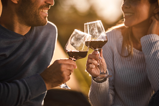 Close up of a happy couple toasting with red wine in nature.