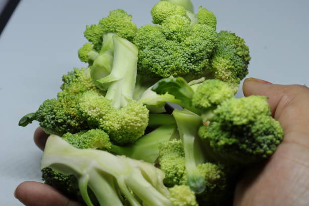 istock Fresh healthy broccoli isolated on white background 1250634173