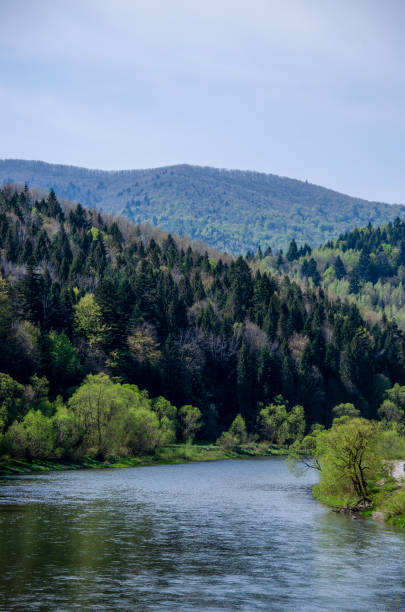 beautiful mountains and river on a sunny summer day