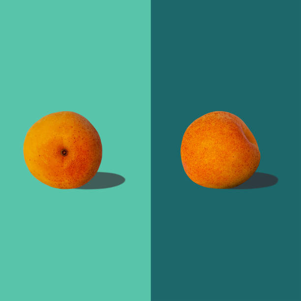 istock Apricot square composition with hard shadows flat lay on pastel turquoise background. Creative layout summer fruits. 1250641650