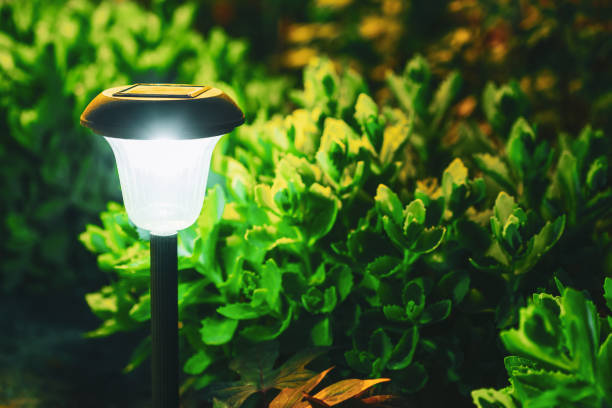 istock Decorative Small Solar Garden Light, Lantern In Flower Bed. Garden Design. Solar Powered Lamp 1250643707