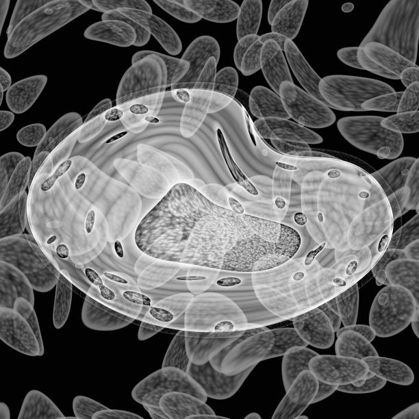 istock Colonies of bacteria growth 3d rendering 1250649697