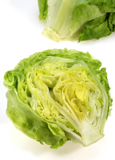 istock Iceberg Salad, lactuca sativa, Leaves against White Background 1250653641
