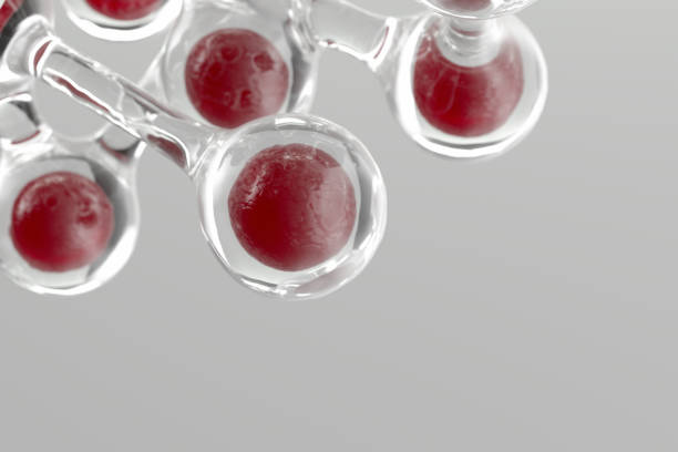 molécula 3d, célula - blood cell red blood cell blood stem cell fotografías e imágenes de stock