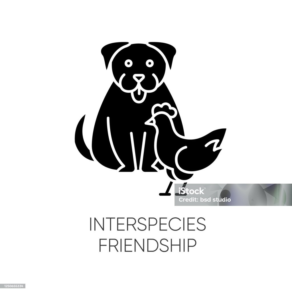 Interspecies Friendship Black Glyph Icon Bond Between Domestic Animals  Friendly Relationship Silhouette Symbol On White Space Dog And Chicken  Getting Along Vector Isolated Illustration Stock Illustration - Download  Image Now - iStock