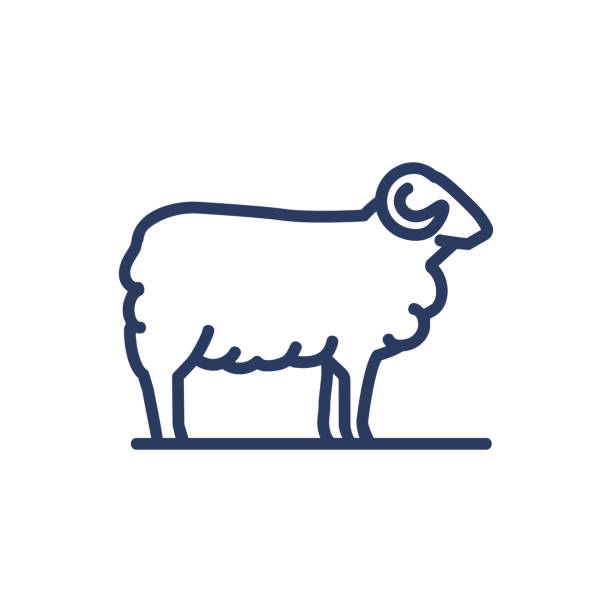 Sheep thin line icon Sheep thin line icon. Pasture, herd, animal isolated outline sign. Diary product, farming, agriculture concept. Vector illustration symbol element for web design and apps sheep stock illustrations