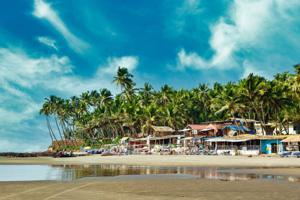 istock Beautiful tropical beach with palms in Goa 1250659767