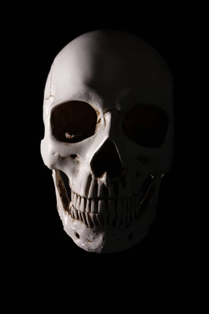 istock White human skull on black background, one half lit, one half in the shadow 1250659830