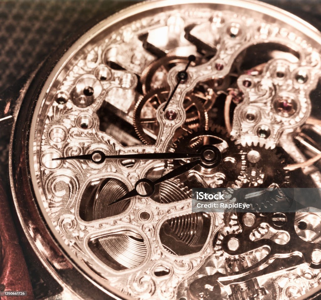 Haalbaarheid oven bereik Complexity And Intricacy On Show In An Ornate Skeleton Watch Stock Photo -  Download Image Now - iStock