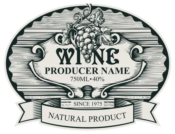 Vector illustration of hand drawn wine label with a bunch of grapes